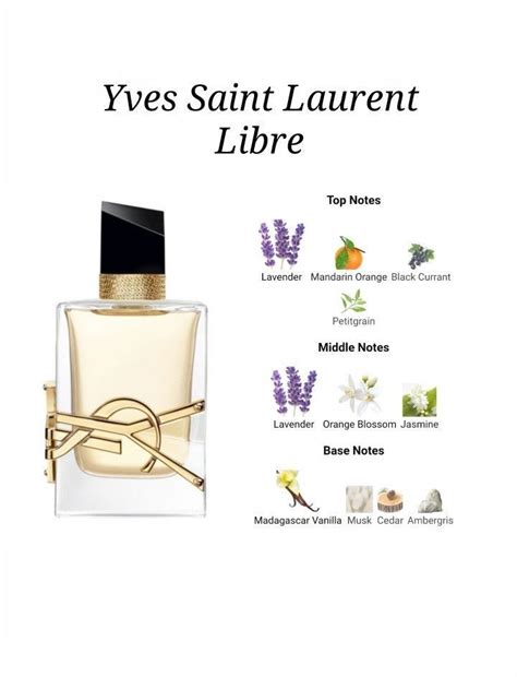 notes YSL libre